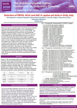 Poster Ferrara.pdf